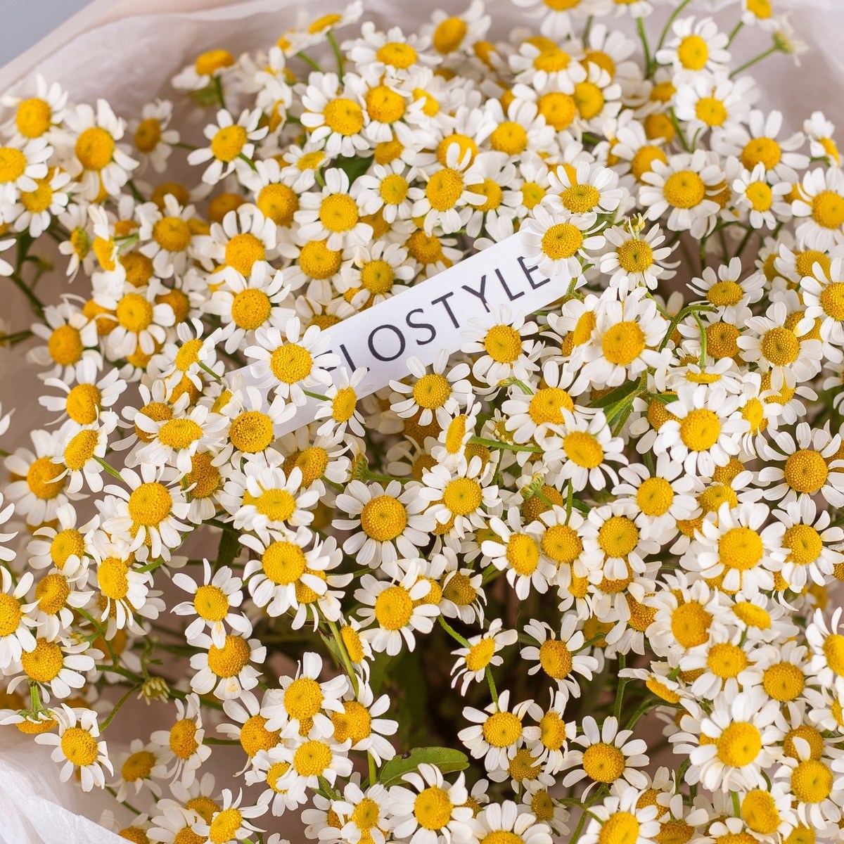 buket polevyh romashek 10